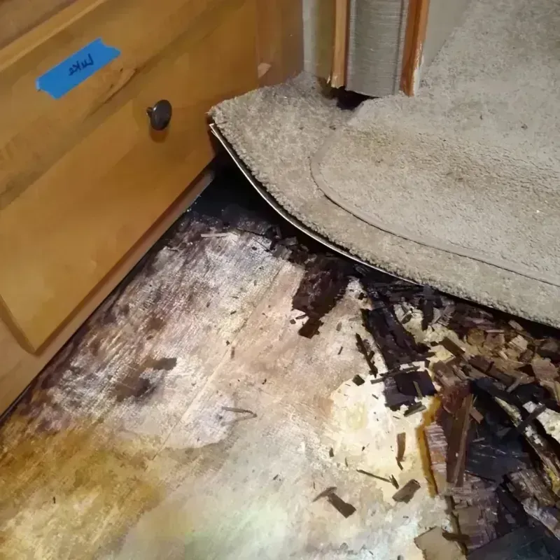 Wood Floor Water Damage in Lodi, NJ